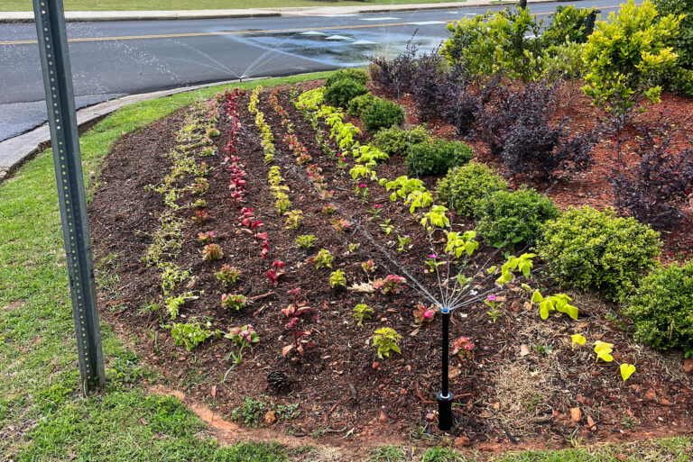 landscape-maintenance